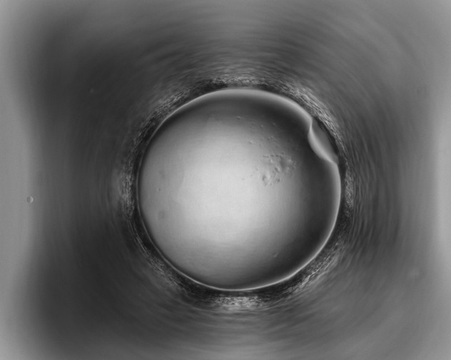 X0000096990449200802081431