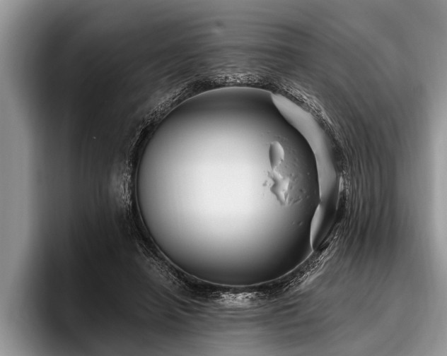 X0000096990450200802081431