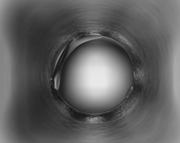 X0000096990452200802081431