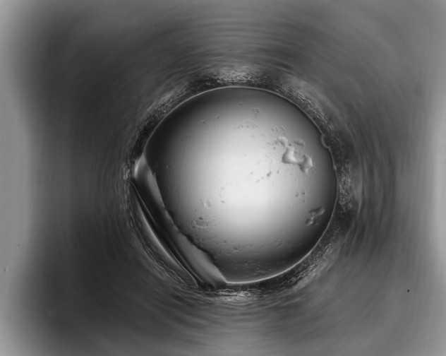 X0000096990454200802081431