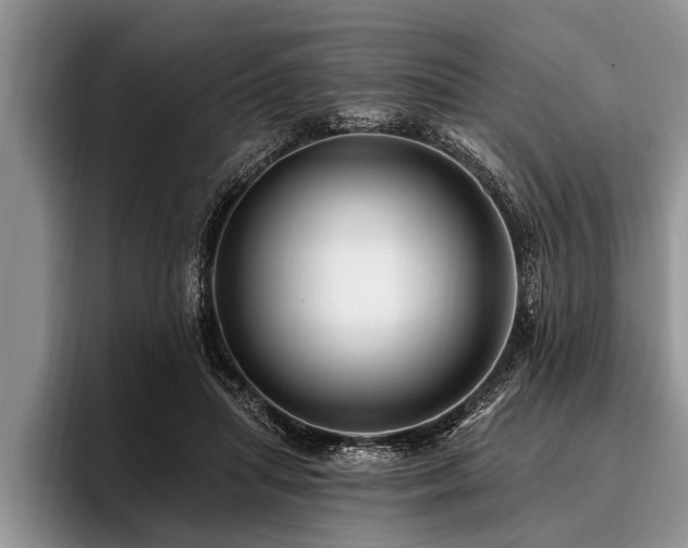 X0000096990455200802081431