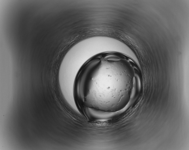 X0000096990456200802081431