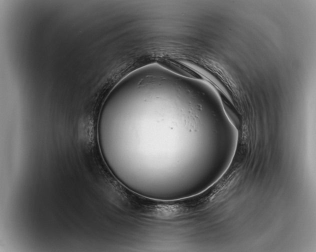 X0000096990457200802081431