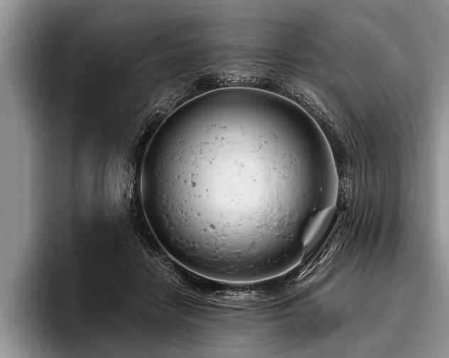 X0000096990458200802081431