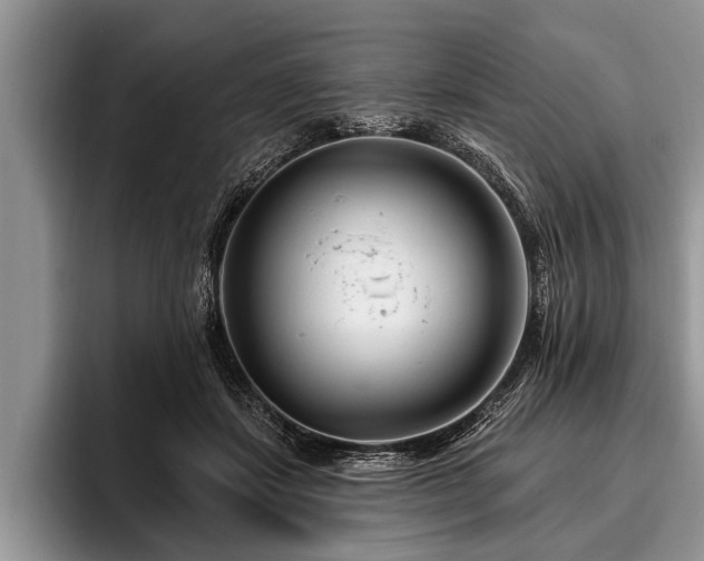X0000096990459200802081431