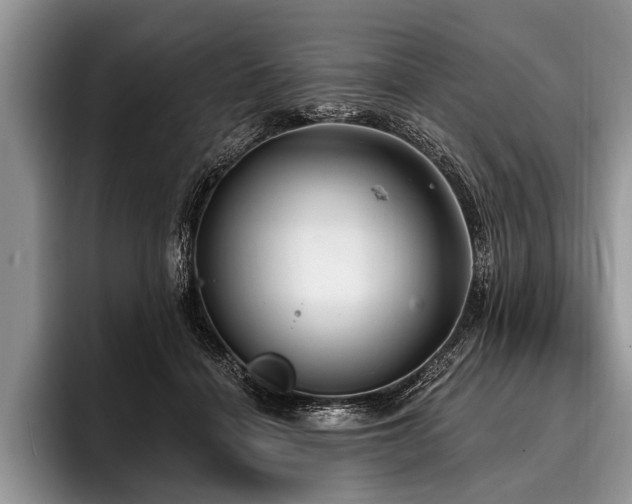 X0000096990460200802081431