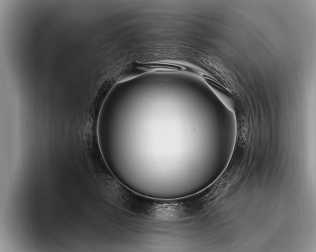 X0000096990461200802081431