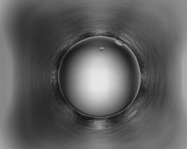 X0000096990462200802081431