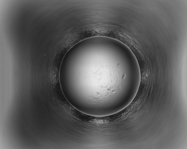 X0000096990464200802081431