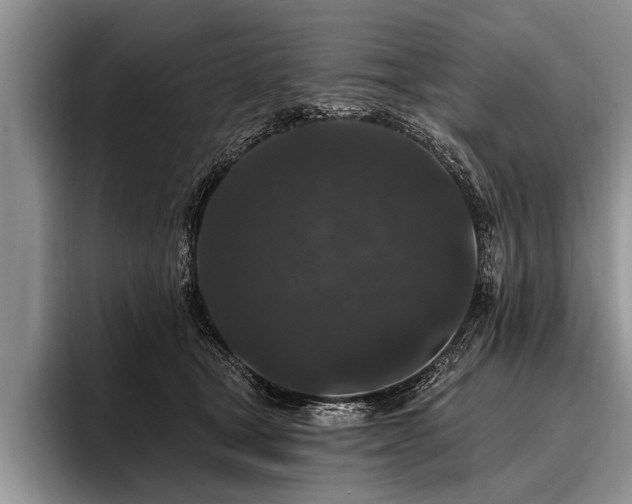 X0000096990465200802081431