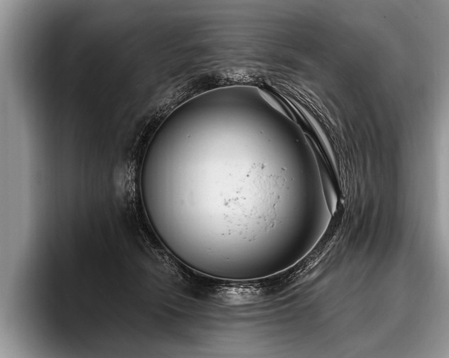 X0000096990466200802081431