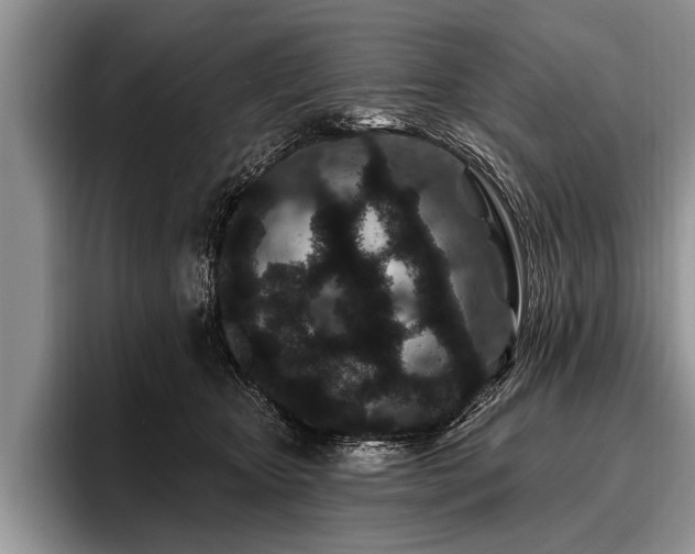 X0000096990467200802081431