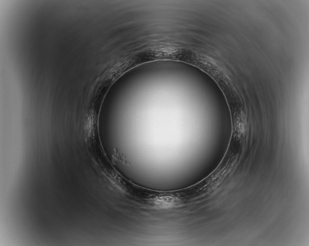 X0000096990468200802081431