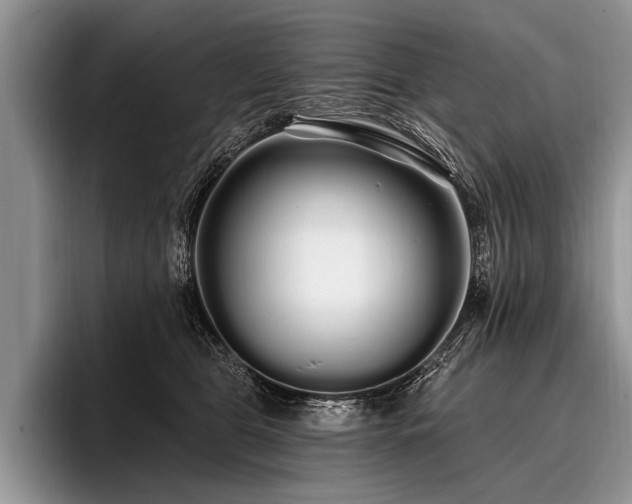 X0000096990469200802081431