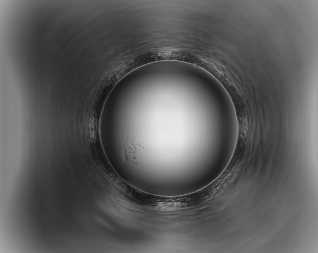 X0000096990470200802081431