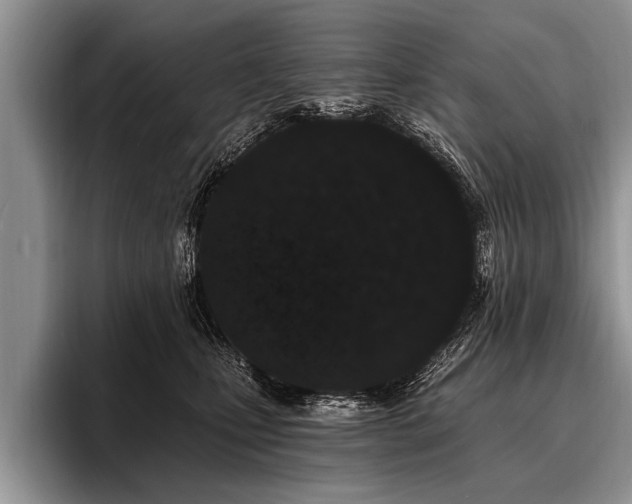 X0000096990471200802081431