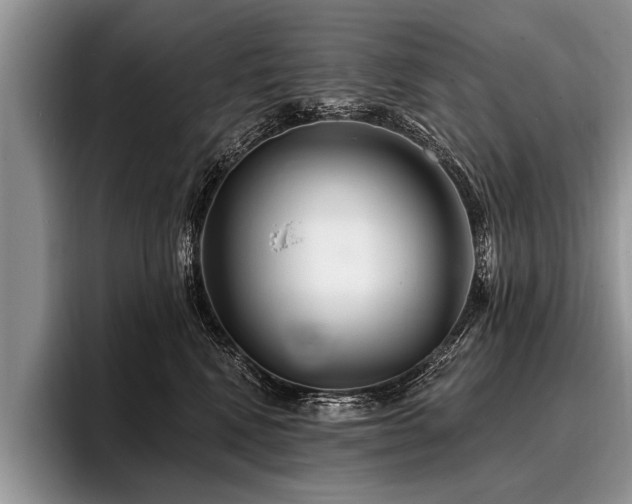 X0000096990472200802081431