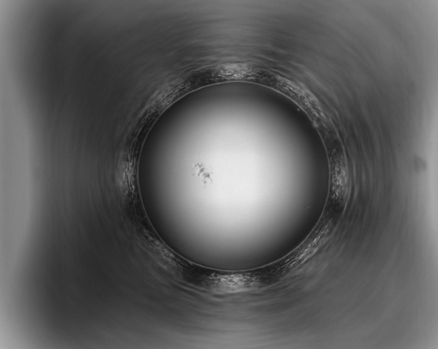 X0000096990473200802081431