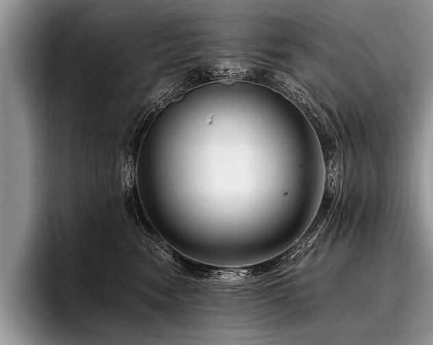 X0000096990474200802081431
