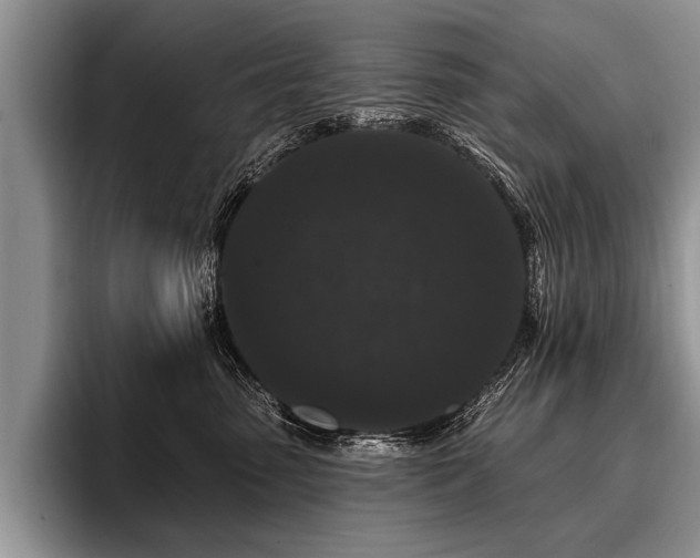 X0000096990475200802081431