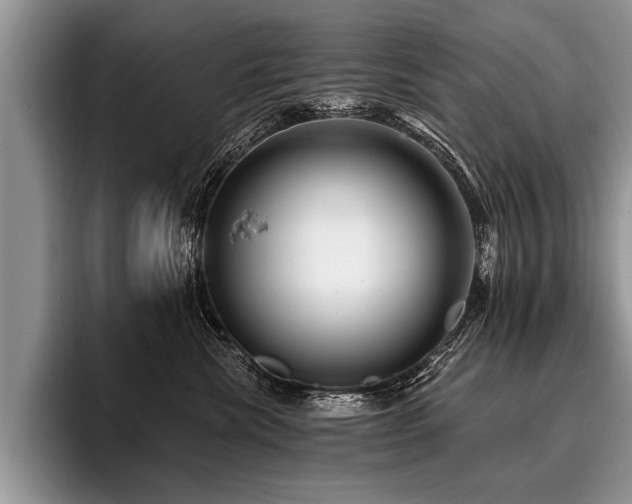 X0000096990476200802081431