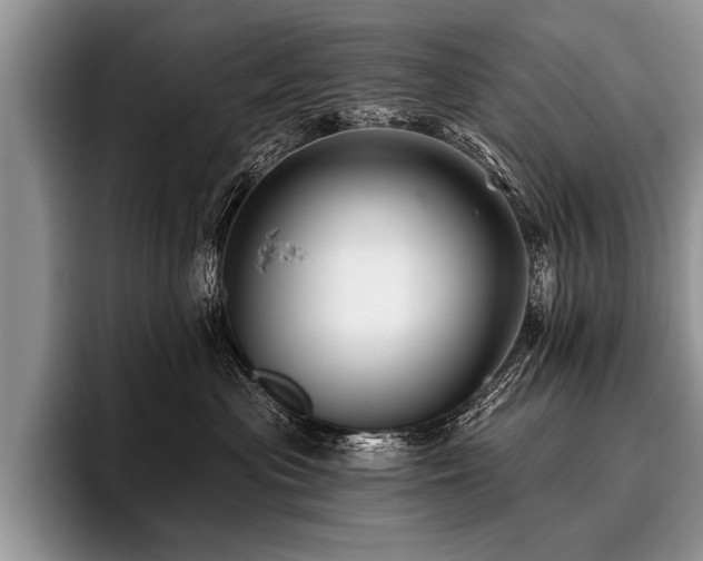 X0000096990477200802081431