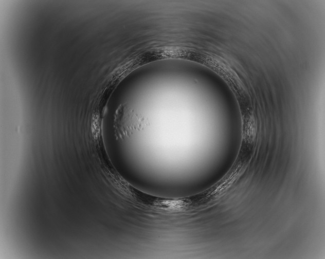 X0000096990478200802081431
