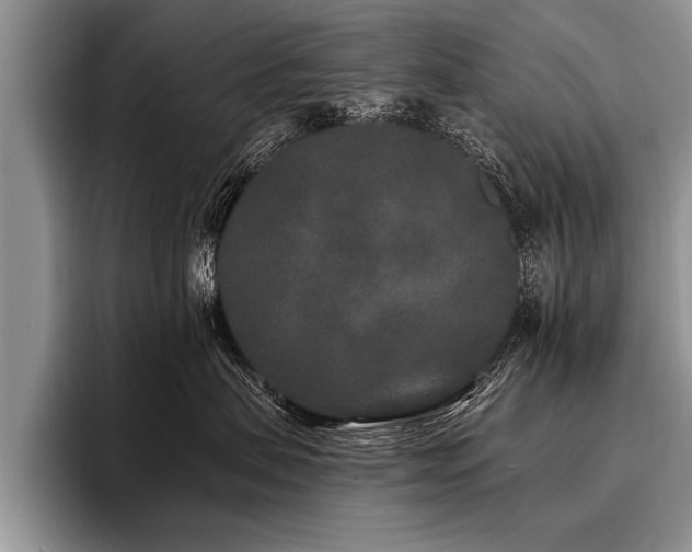 X0000096990479200802081431