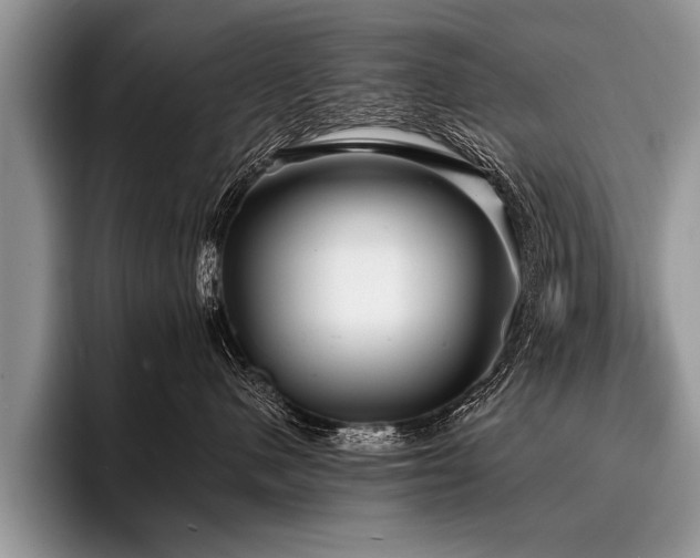 X0000096990480200802081431