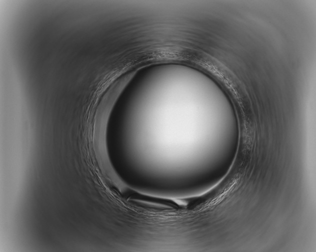 X0000096990481200802081431