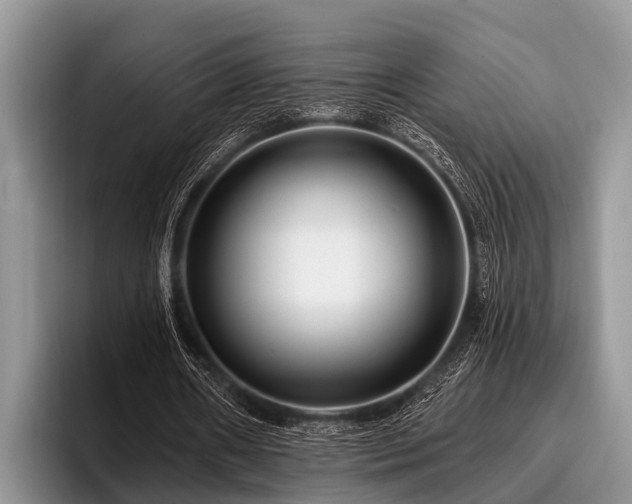 X0000096990482200802081431