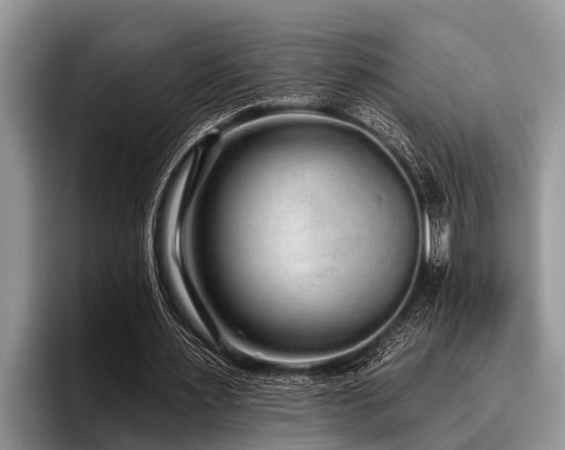 X0000096990483200802081431