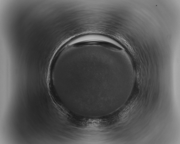 X0000096990484200802081431