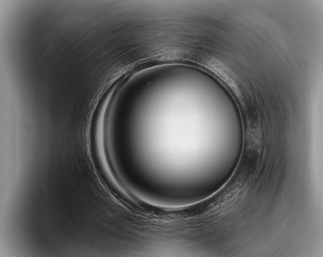 X0000096990485200802081431