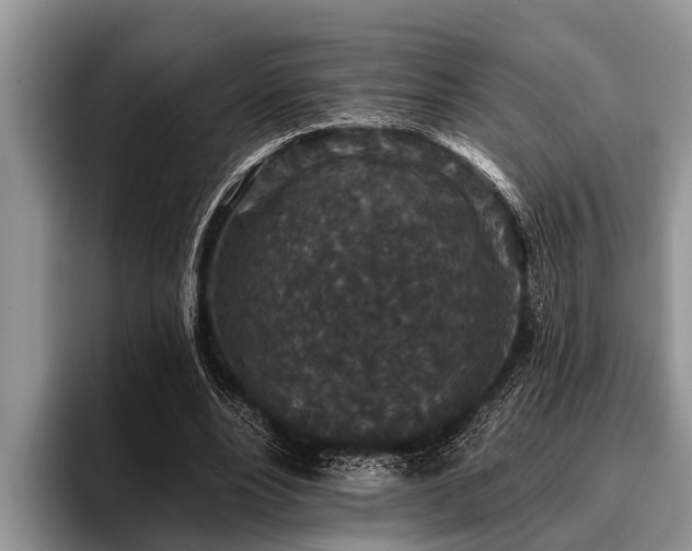 X0000096990488200802081431