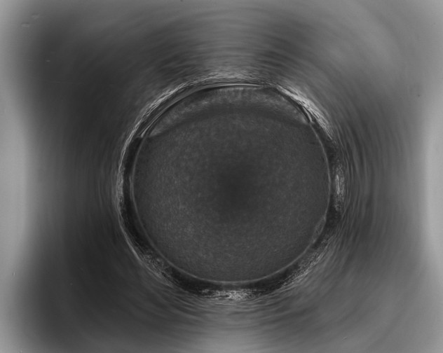 X0000096990492200802081431