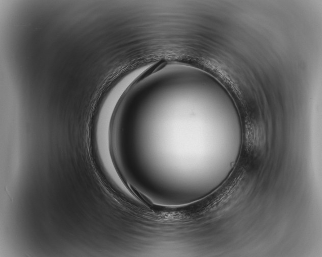 X0000096990493200802081431