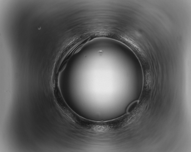 X0000096990494200802081431