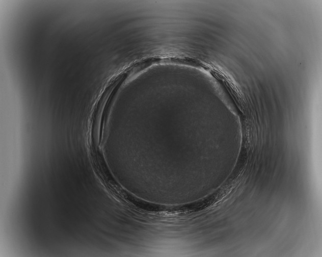 X0000096990496200802081431