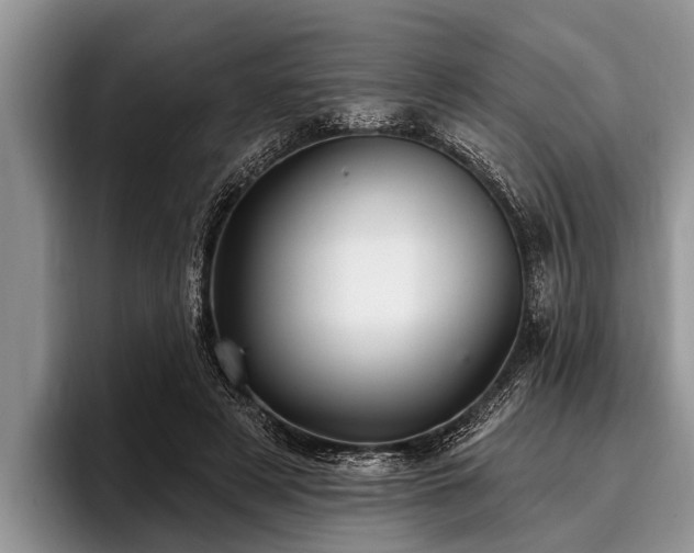 X0000096990497200802081431