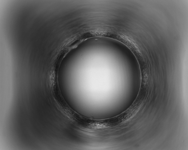 X0000096990498200802081431