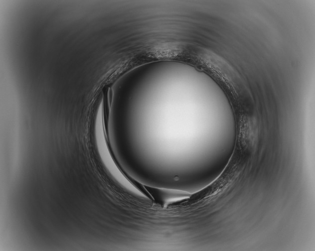 X0000096990501200802081431