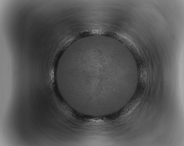 X0000096990502200802081431