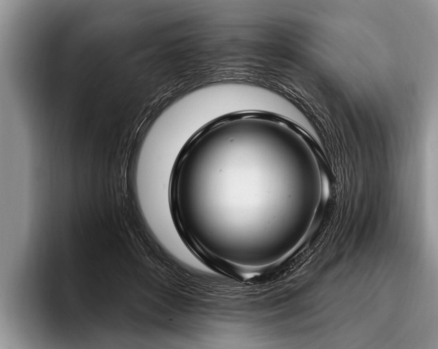 X0000096990504200802081431