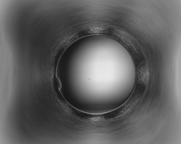 X0000096990505200802081431