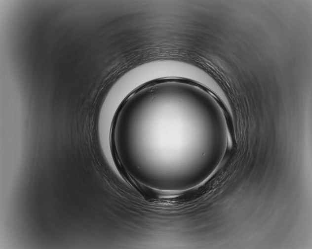 X0000096990507200802081431