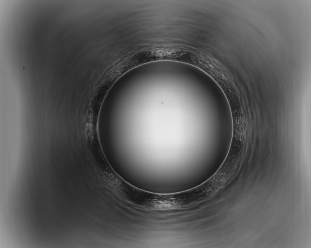 X0000096990510200802081430