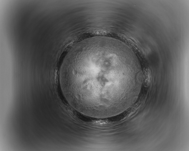 X0000096990511200802081430