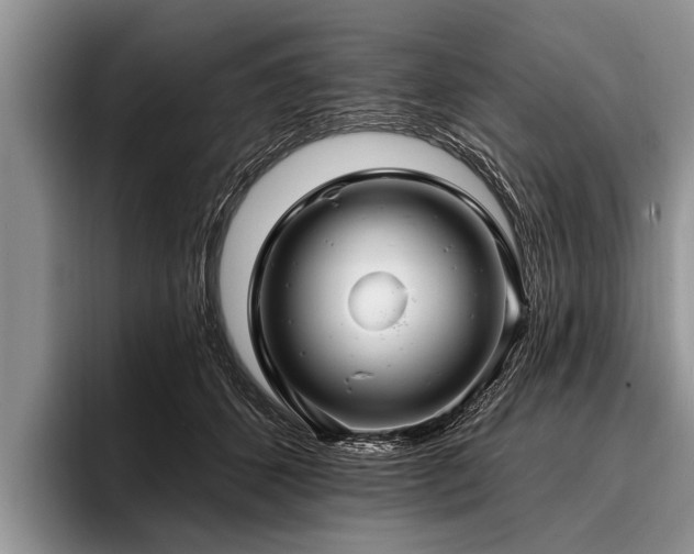 X0000096990512200802081430