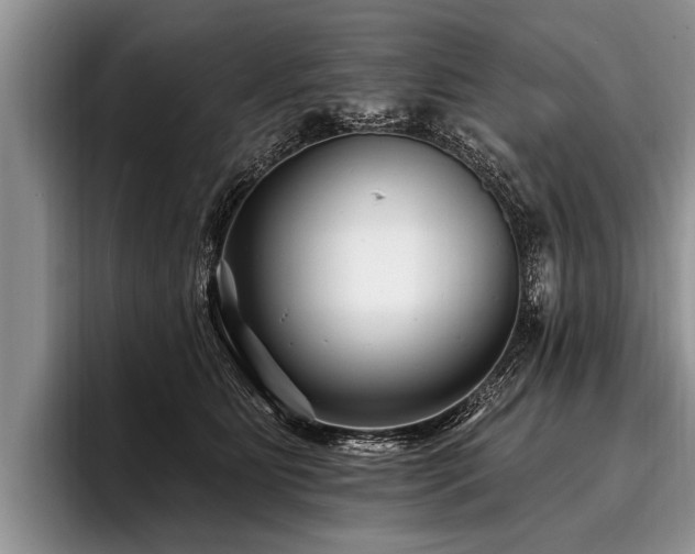 X0000096990515200802081430